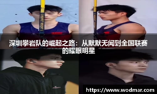 博鱼boyu体育官网